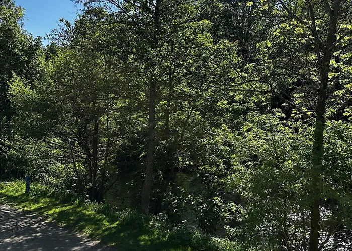 U Labe * Stanovice (Hradec Kralove)