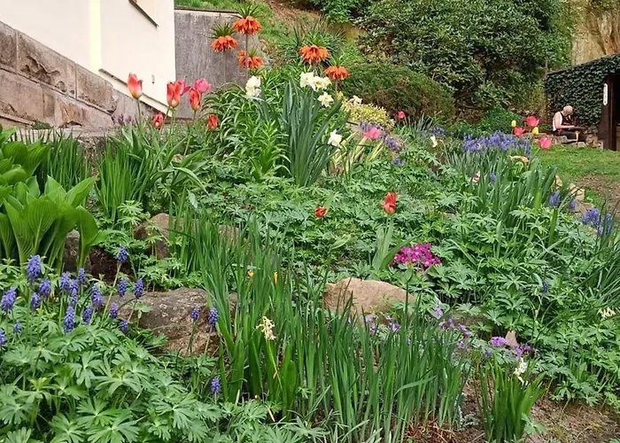 U Labe Stanovice (Hradec Kralove)