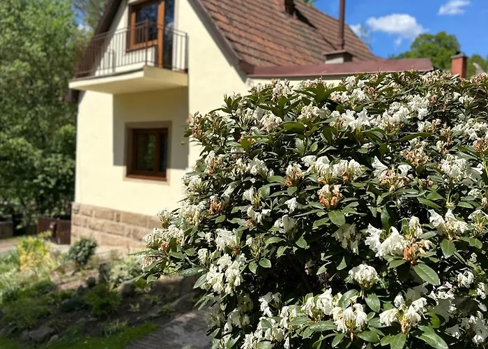 U Labe Stanovice (Hradec Kralove)