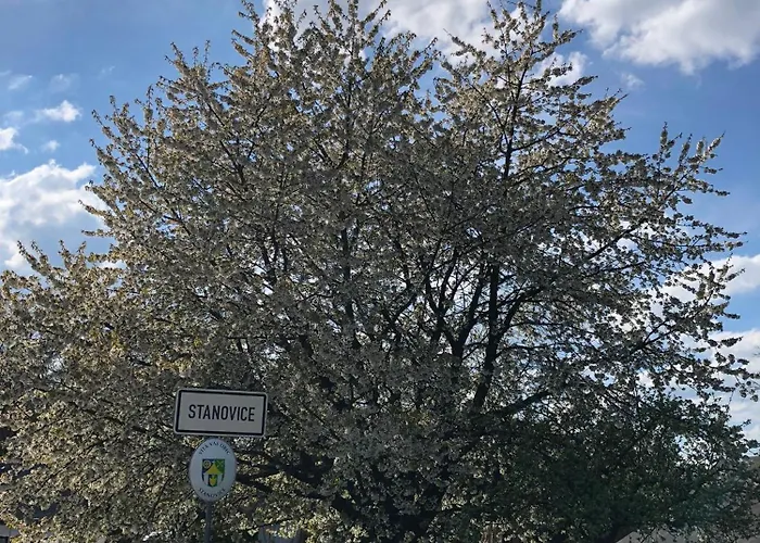U Labe Σπίτι διακοπών Stanovice (Hradec Kralove)