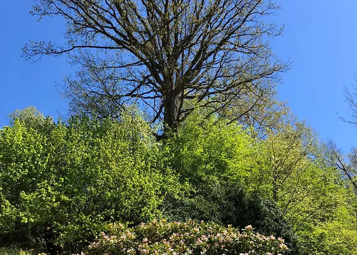 U Labe 펜션 Stanovice (Hradec Kralove)